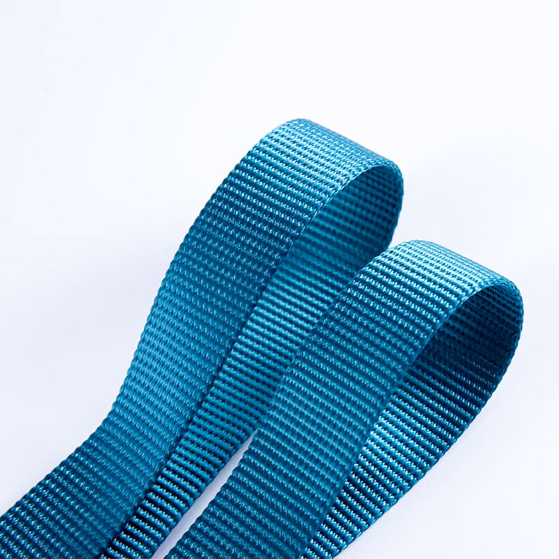 2.5 সেমি পুরু পলিয়েস্টার ওয়েবিং বড় পোষা পাঁজরের জন্য