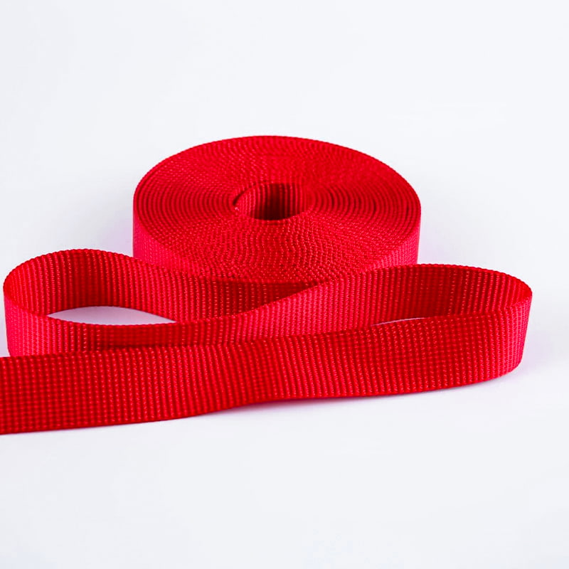 2.5 সেমি বড় পোষা টাই-ডাউন ওয়েবিং