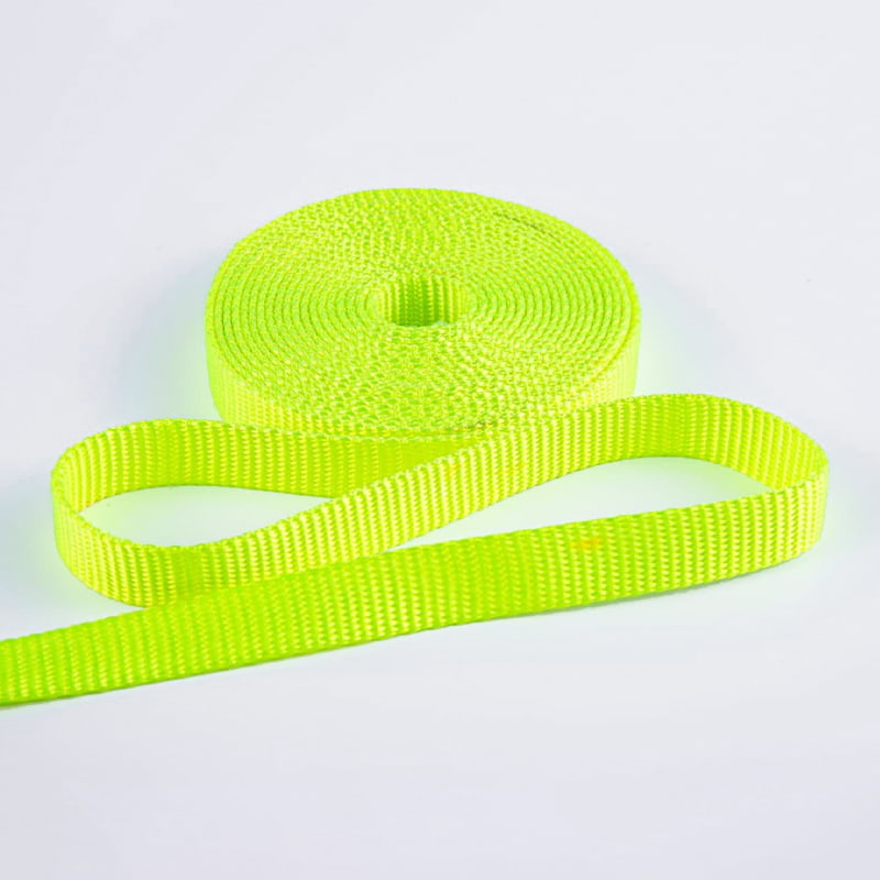 2.0cm ফ্লুরোসেন্ট সবুজ পরিধান-প্রতিরোধী পলিয়েস্টার পোষা প্রাণী প্রশিক্ষণ লিশ ওয়েবিং