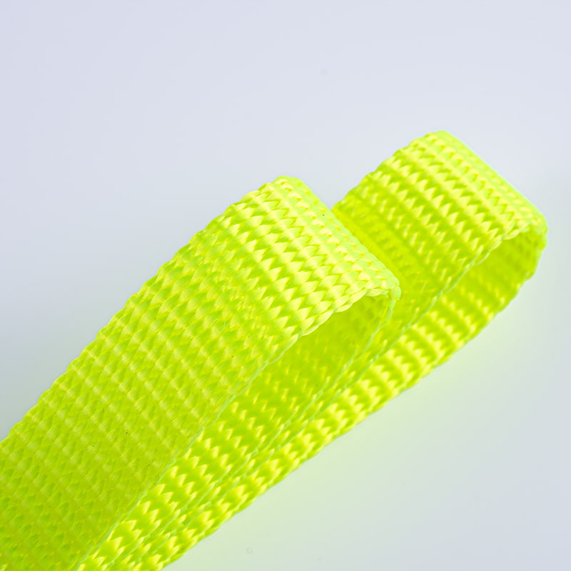 2.0cm ফ্লুরোসেন্ট সবুজ পরিধান-প্রতিরোধী পলিয়েস্টার পোষা প্রাণী প্রশিক্ষণ লিশ ওয়েবিং