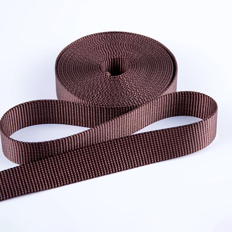 2.5 সেমি পলিয়েস্টার পেট লিশ বাঁধা ফ্ল্যাট ওয়েবিং