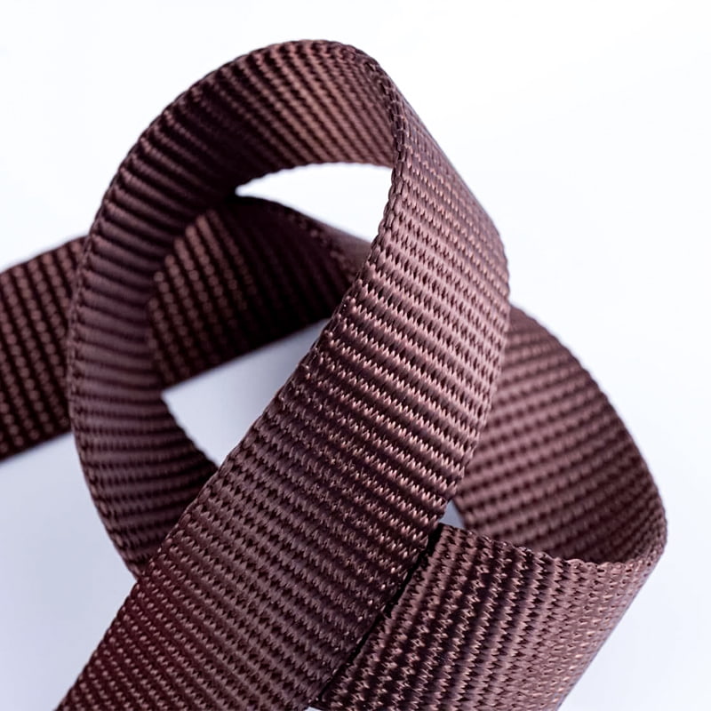 2.5 সেমি পলিয়েস্টার পেট লিশ বাঁধা ফ্ল্যাট ওয়েবিং