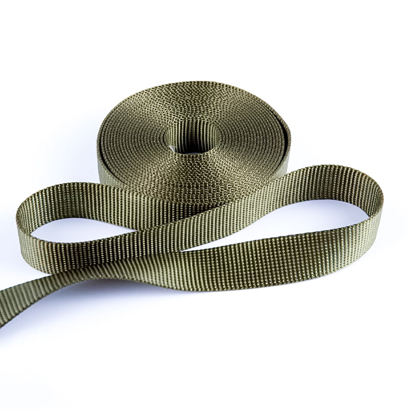 কুকুর কলার জন্য 2.5cm পলিয়েস্টার টুইল নমনীয় ওয়েবিং