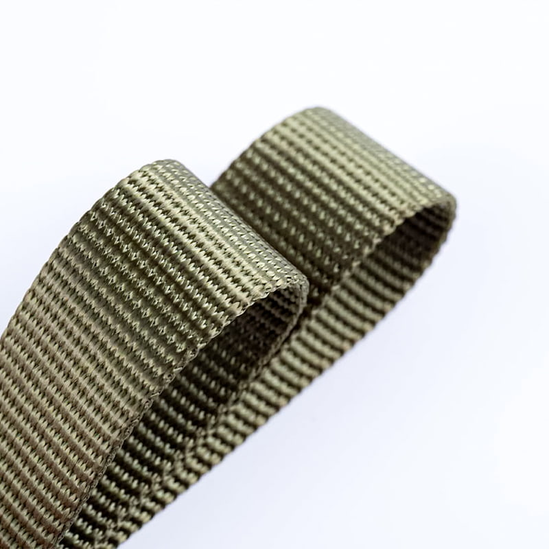 কুকুর কলার জন্য 2.5cm পলিয়েস্টার টুইল নমনীয় ওয়েবিং