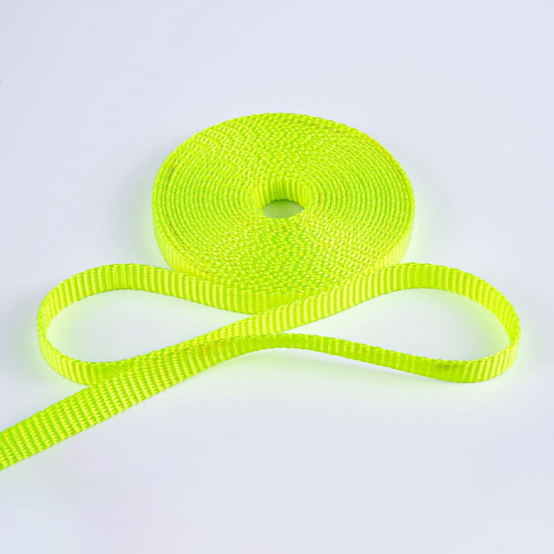 ডাবল-সাইডেড লকস্টিচ ওয়েবিং সহ 1.5 সেমি পলিয়েস্টার পোষা প্রাণী প্রশিক্ষণ লিশ