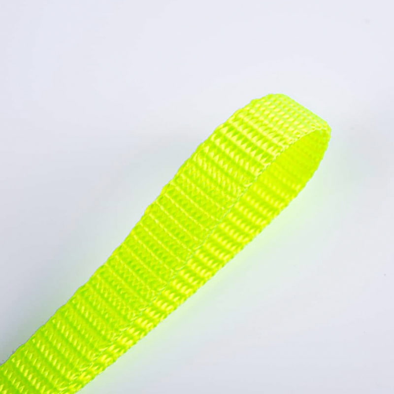 ডাবল-সাইডেড লকস্টিচ ওয়েবিং সহ 1.5 সেমি পলিয়েস্টার পোষা প্রাণী প্রশিক্ষণ লিশ